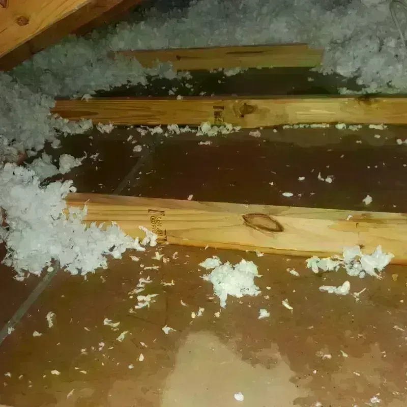 Attic Water Damage in Mahnomen, MN