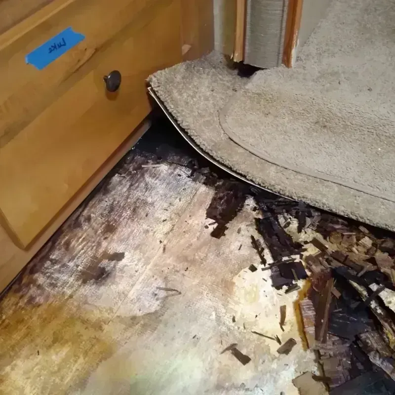 Best Wood Floor Water Damage Service in Mahnomen, MN